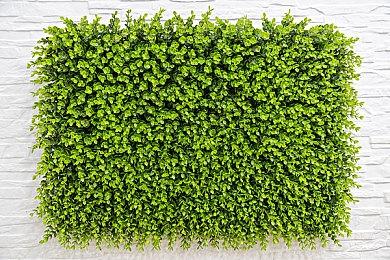 《索尼克×夏特 世代重启》确认护航Switch2 